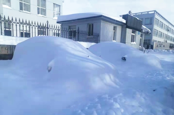 211109 - 暴雪后的开云电子工厂门口_副本.jpg